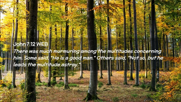 Picture 02 - John 7:12 WEB Desktop Wallpaper - There was much murmuring among the multitudes - Desktop Bible Verse Wallpaper