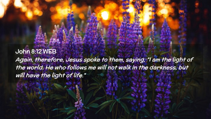 Picture 02 - John 8:12 WEB Desktop Wallpaper - Again, therefore, Jesus spoke to them, saying, 