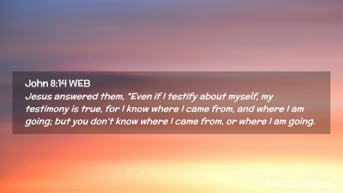 Picture 02 - John 8:14 WEB Desktop Wallpaper - Jesus answered them, 