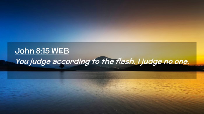 Picture 02 - John 8:15 WEB Desktop Wallpaper - You judge according to the flesh. I judge no - Desktop Bible Verse Wallpaper