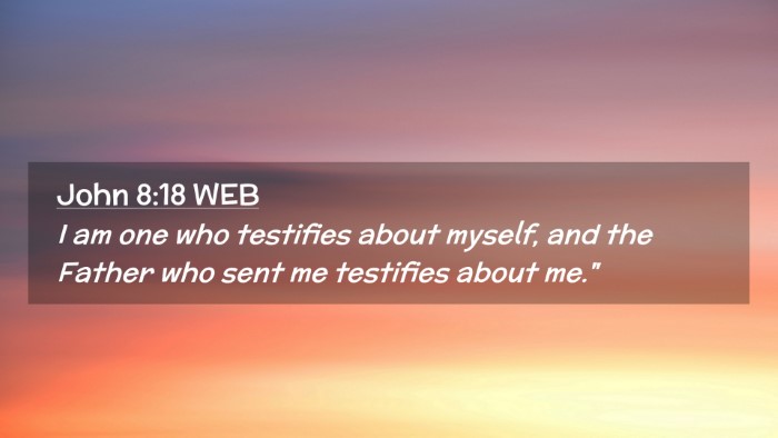 Picture 02 - John 8:18 WEB Desktop Wallpaper - I am one who testifies about myself, and the - Desktop Bible Verse Wallpaper