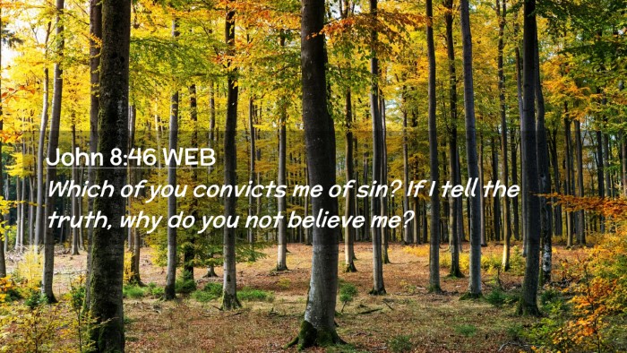 Picture 02 - John 8:46 WEB Desktop Wallpaper - Which of you convicts me of sin? If I tell the - Desktop Bible Verse Wallpaper