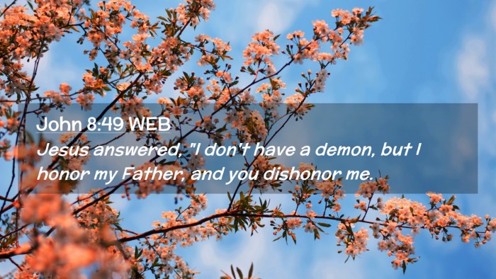 Picture 02 - John 8:49 WEB Desktop Wallpaper - Jesus answered, 