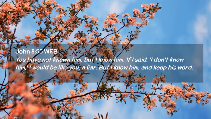 Picture 02 - John 8:55 WEB Desktop Wallpaper - You have not known him, but I know him. If I - Desktop Bible Verse Wallpaper
