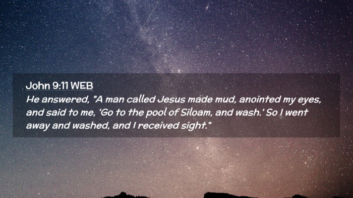 Picture 02 - John 9:11 WEB Desktop Wallpaper - He answered, 