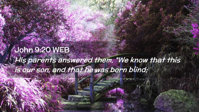 Picture 02 - John 9:20 WEB Desktop Wallpaper - His parents answered them, 
