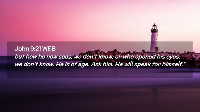 Picture 02 - John 9:21 WEB Desktop Wallpaper - but how he now sees, we don't know; or who opened - Desktop Bible Verse Wallpaper