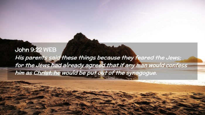 Picture 02 - John 9:22 WEB Desktop Wallpaper - His parents said these things because they feared - Desktop Bible Verse Wallpaper