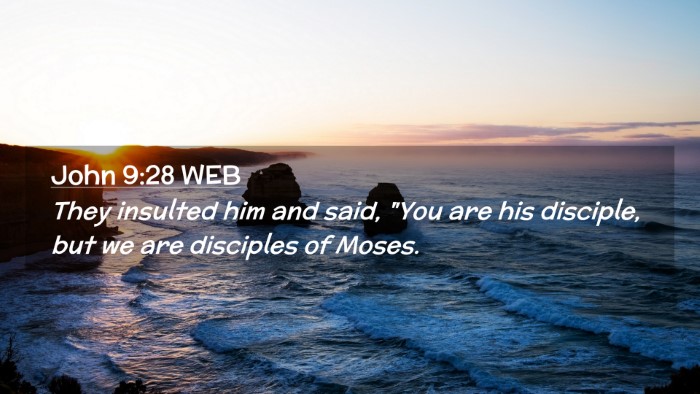 Picture 02 - John 9:28 WEB Desktop Wallpaper - They insulted him and said, 