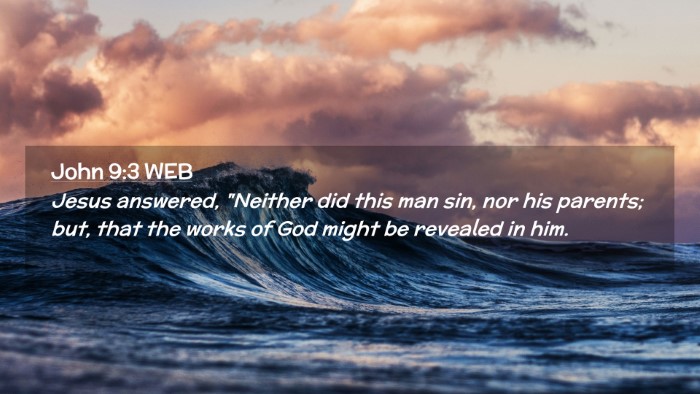 Picture 02 - John 9:3 WEB Desktop Wallpaper - Jesus answered, 