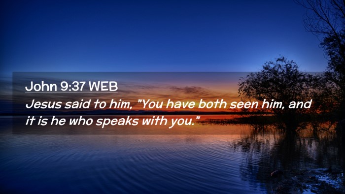 Picture 02 - John 9:37 WEB Desktop Wallpaper - Jesus said to him, 