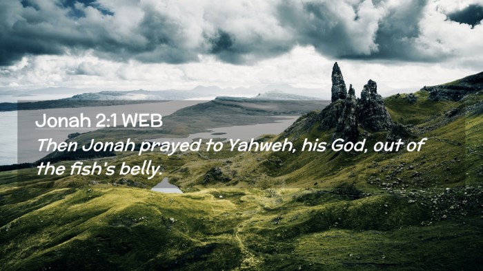 Picture 02 - Jonah 2:1 WEB Desktop Wallpaper - Then Jonah prayed to Yahweh, his God, out of the - Desktop Bible Verse Wallpaper