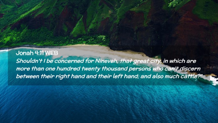 Picture 02 - Jonah 4:11 WEB Desktop Wallpaper - Shouldn't I be concerned for Nineveh, that great - Desktop Bible Verse Wallpaper