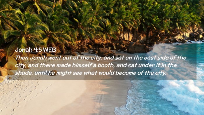 Picture 02 - Jonah 4:5 WEB Desktop Wallpaper - Then Jonah went out of the city, and sat on the - Desktop Bible Verse Wallpaper