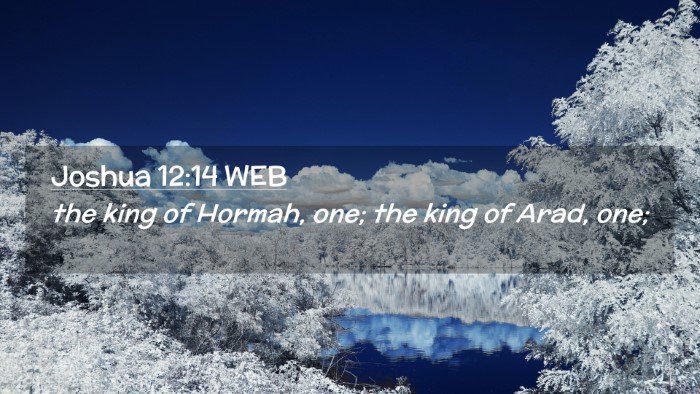 Picture 02 - Joshua 12:14 WEB Desktop Wallpaper - the king of Hormah, one; the king of Arad, - Desktop Bible Verse Wallpaper