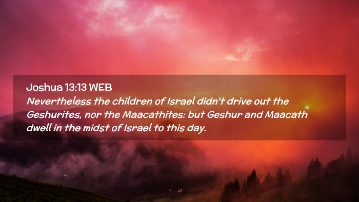 Picture 02 - Joshua 13:13 WEB Desktop Wallpaper - Nevertheless the children of Israel didn't drive - Desktop Bible Verse Wallpaper
