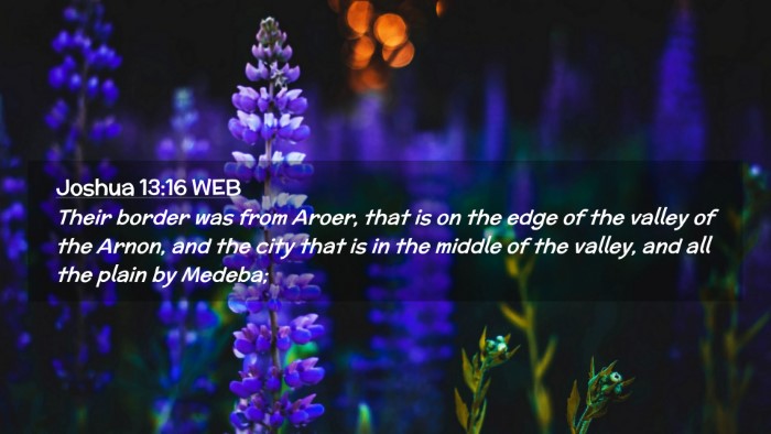 Picture 02 - Joshua 13:16 WEB Desktop Wallpaper - Their border was from Aroer, that is on the edge - Desktop Bible Verse Wallpaper