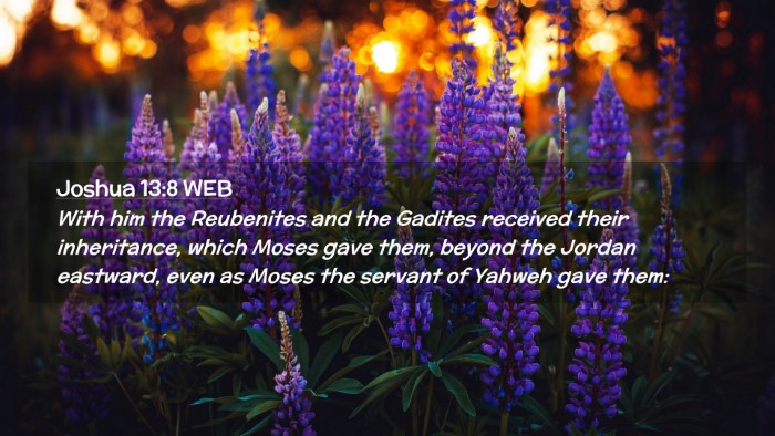 Picture 02 - Joshua 13:8 WEB Desktop Wallpaper - With him the Reubenites and the Gadites received - Desktop Bible Verse Wallpaper