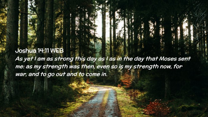 Picture 02 - Joshua 14:11 WEB Desktop Wallpaper - As yet I am as strong this day as I as in the day - Desktop Bible Verse Wallpaper