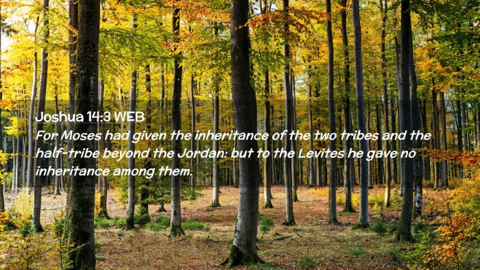 Picture 02 - Joshua 14:3 WEB Desktop Wallpaper - For Moses had given the inheritance of the two - Desktop Bible Verse Wallpaper