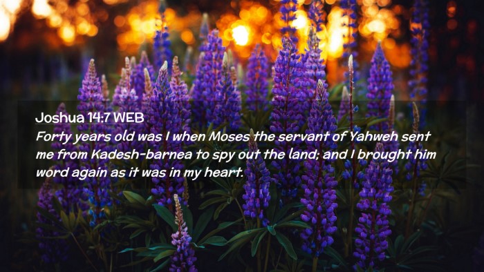 Picture 02 - Joshua 14:7 WEB Desktop Wallpaper - Forty years old was I when Moses the servant of - Desktop Bible Verse Wallpaper