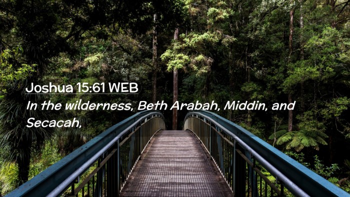 Picture 02 - Joshua 15:61 WEB Desktop Wallpaper - In the wilderness, Beth Arabah, Middin, and - Desktop Bible Verse Wallpaper