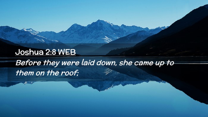 Picture 02 - Joshua 2:8 WEB Desktop Wallpaper - Before they were laid down, she came up to them - Desktop Bible Verse Wallpaper