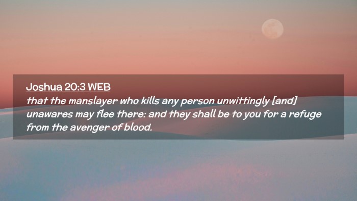 Picture 02 - Joshua 20:3 WEB Desktop Wallpaper - that the manslayer who kills any person - Desktop Bible Verse Wallpaper