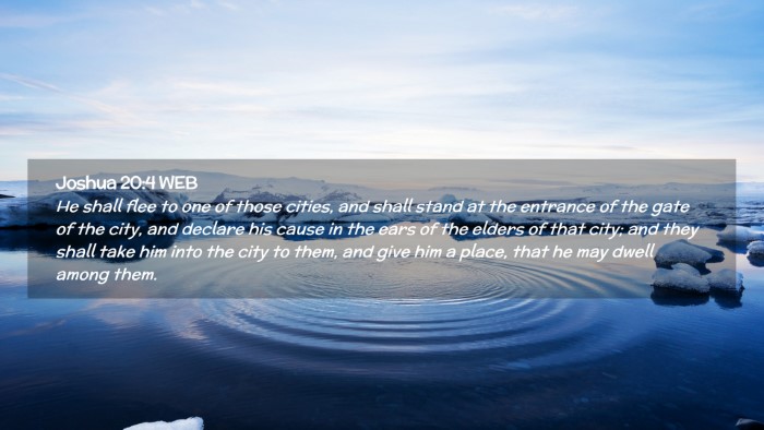 Picture 02 - Joshua 20:4 WEB Desktop Wallpaper - He shall flee to one of those cities, and shall - Desktop Bible Verse Wallpaper