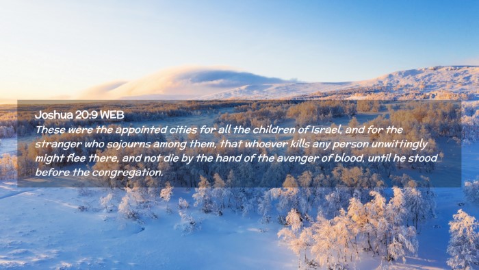 Picture 02 - Joshua 20:9 WEB Desktop Wallpaper - These were the appointed cities for all the - Desktop Bible Verse Wallpaper