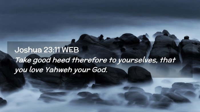 Picture 02 - Joshua 23:11 WEB Desktop Wallpaper - Take good heed therefore to yourselves, that you - Desktop Bible Verse Wallpaper