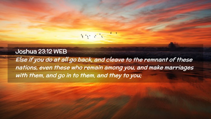 Picture 02 - Joshua 23:12 WEB Desktop Wallpaper - Else if you do at all go back, and cleave to the - Desktop Bible Verse Wallpaper
