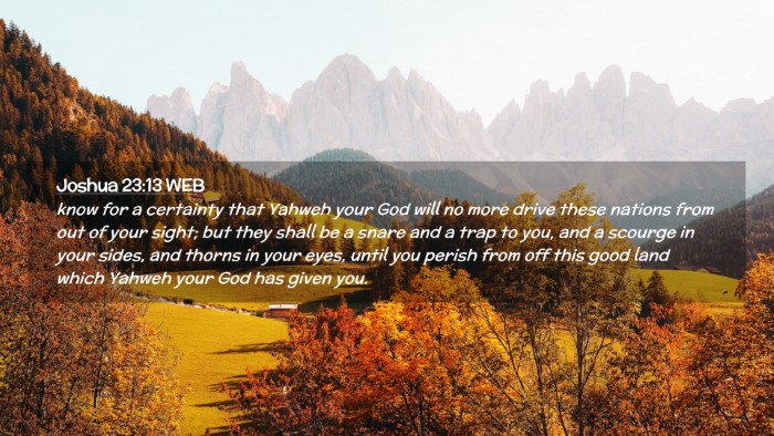 Picture 02 - Joshua 23:13 WEB Desktop Wallpaper - know for a certainty that Yahweh your God will no - Desktop Bible Verse Wallpaper