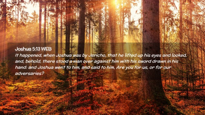 Picture 02 - Joshua 5:13 WEB Desktop Wallpaper - It happened, when Joshua was by Jericho, that he - Desktop Bible Verse Wallpaper