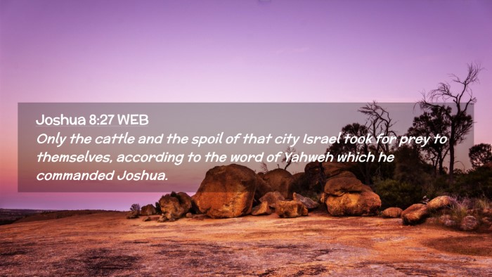 Picture 02 - Joshua 8:27 WEB Desktop Wallpaper - Only the cattle and the spoil of that city Israel - Desktop Bible Verse Wallpaper