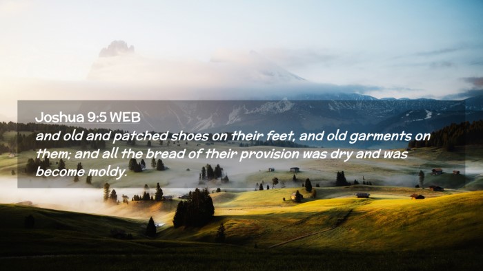 Picture 02 - Joshua 9:5 WEB Desktop Wallpaper - and old and patched shoes on their feet, and old - Desktop Bible Verse Wallpaper