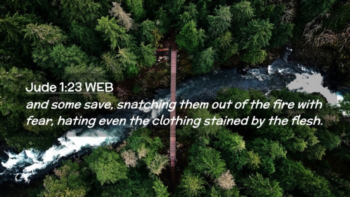 Picture 02 - Jude 1:23 WEB Desktop Wallpaper - and some save, snatching them out of the fire - Desktop Bible Verse Wallpaper