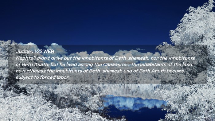 Picture 02 - Judges 1:33 WEB Desktop Wallpaper - Naphtali didn't drive out the inhabitants of - Desktop Bible Verse Wallpaper