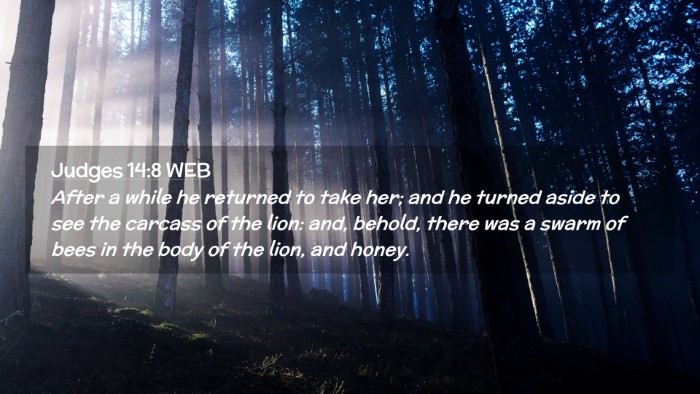 Picture 02 - Judges 14:8 WEB Desktop Wallpaper - After a while he returned to take her; and he - Desktop Bible Verse Wallpaper