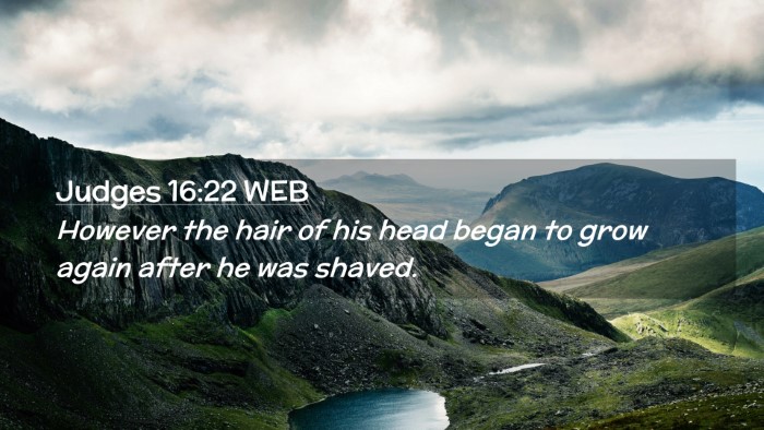 Picture 02 - Judges 16:22 WEB Desktop Wallpaper - However the hair of his head began to grow again - Desktop Bible Verse Wallpaper