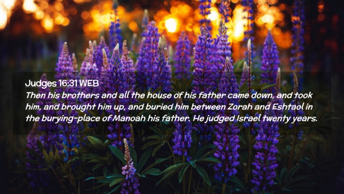 Picture 02 - Judges 16:31 WEB Desktop Wallpaper - Then his brothers and all the house of his father - Desktop Bible Verse Wallpaper