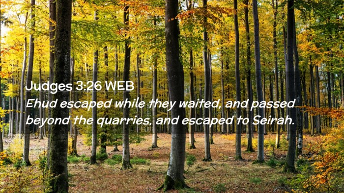Picture 02 - Judges 3:26 WEB Desktop Wallpaper - Ehud escaped while they waited, and passed beyond - Desktop Bible Verse Wallpaper