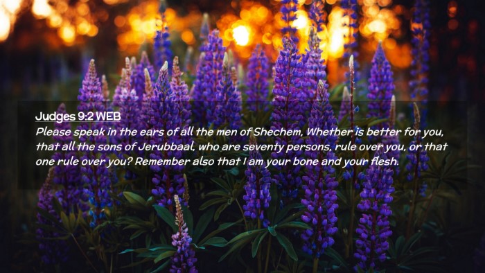 Picture 02 - Judges 9:2 WEB Desktop Wallpaper - Please speak in the ears of all the men of - Desktop Bible Verse Wallpaper