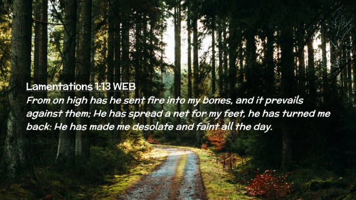 Picture 02 - Lamentations 1:13 WEB Desktop Wallpaper - From on high has he sent fire into my bones, and - Desktop Bible Verse Wallpaper