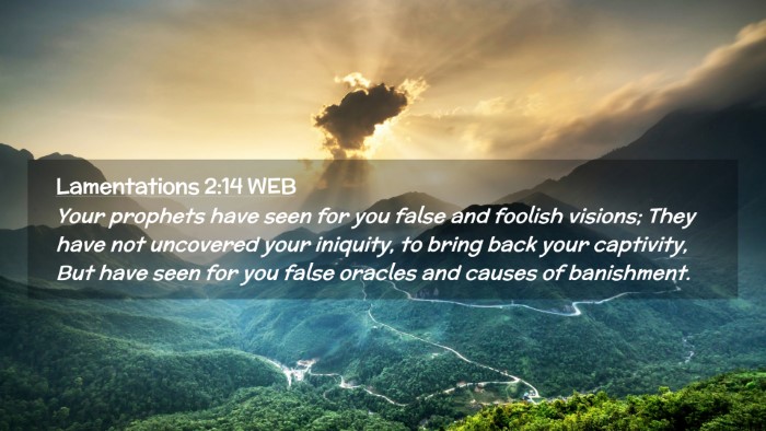 Picture 02 - Lamentations 2:14 WEB Desktop Wallpaper - Your prophets have seen for you false and foolish - Desktop Bible Verse Wallpaper