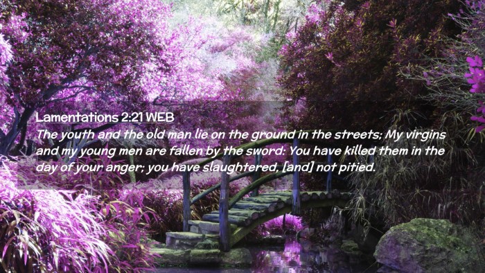 Picture 02 - Lamentations 2:21 WEB Desktop Wallpaper - The youth and the old man lie on the ground in - Desktop Bible Verse Wallpaper