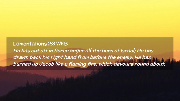 Picture 02 - Lamentations 2:3 WEB Desktop Wallpaper - He has cut off in fierce anger all the horn of - Desktop Bible Verse Wallpaper