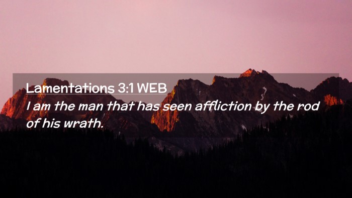 Picture 02 - Lamentations 3:1 WEB Desktop Wallpaper - I am the man that has seen affliction by the rod - Desktop Bible Verse Wallpaper