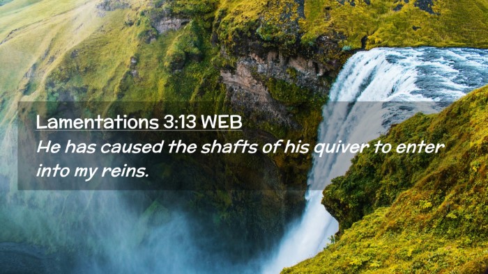 Picture 02 - Lamentations 3:13 WEB Desktop Wallpaper - He has caused the shafts of his quiver to enter - Desktop Bible Verse Wallpaper