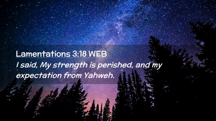 Picture 02 - Lamentations 3:18 WEB Desktop Wallpaper - I said, My strength is perished, and my - Desktop Bible Verse Wallpaper